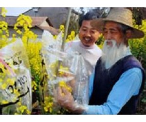 ���Ȫ�����