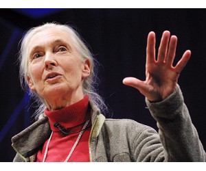 ��•�ŵ���