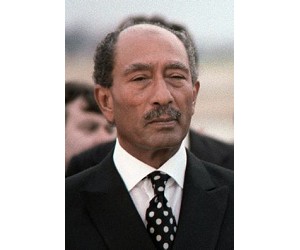 �º�Ĭ��•���߶�•������